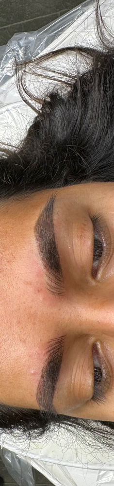 Microshading Or Combo Brows