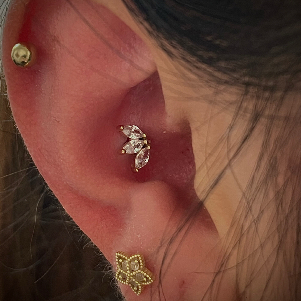 Conch at Dark Age Piercings by Sarah in Denton, TX