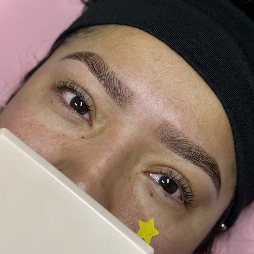 Brow Lamination & Wax & Tint at LANAESTHETICZ in Castro Valley, CA