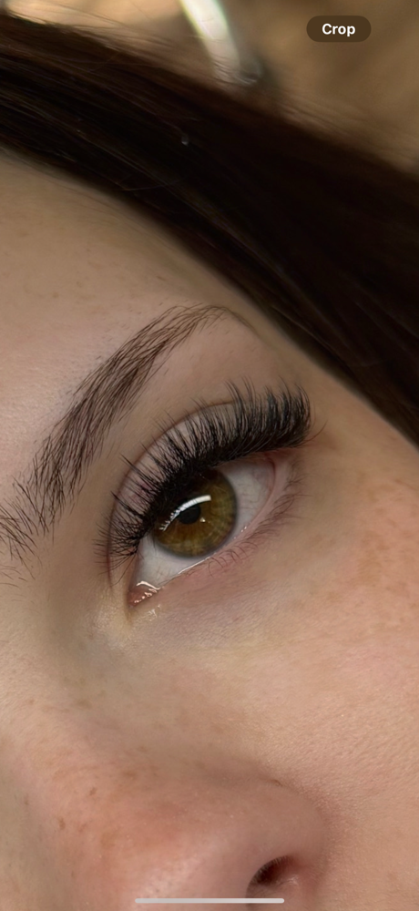 Any Style Full Set at AB Lash City LLC in Lawrenceville, GA