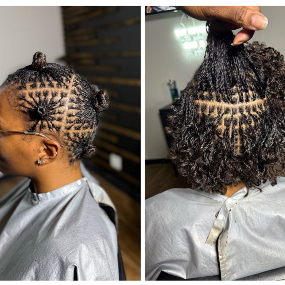 Micro Locs/braid/twist/ Natural Hair