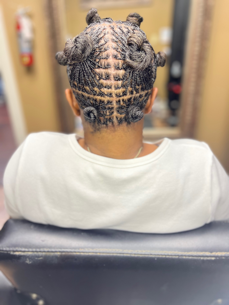 Micro Locs/braid/twist Natural Hair