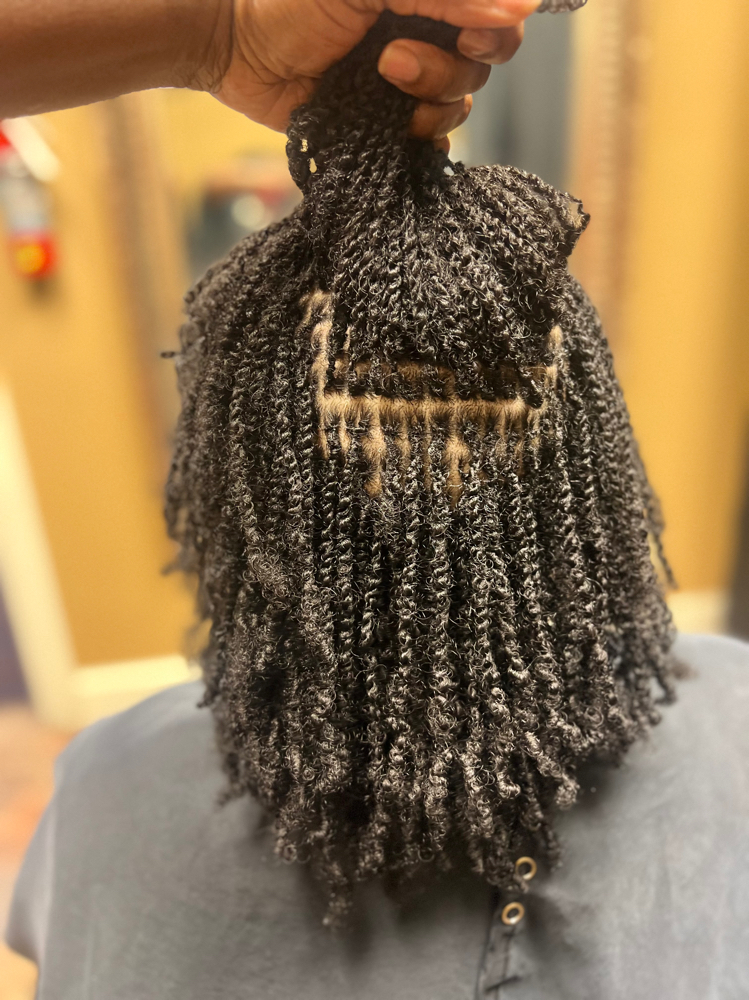 Micro Locs/braid/twist
