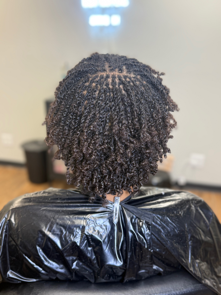 Micro Locs/braid/twist/ Natural Hair