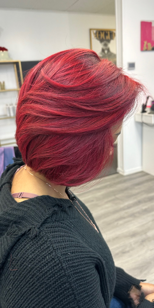 Silk Press x Color Transformation
