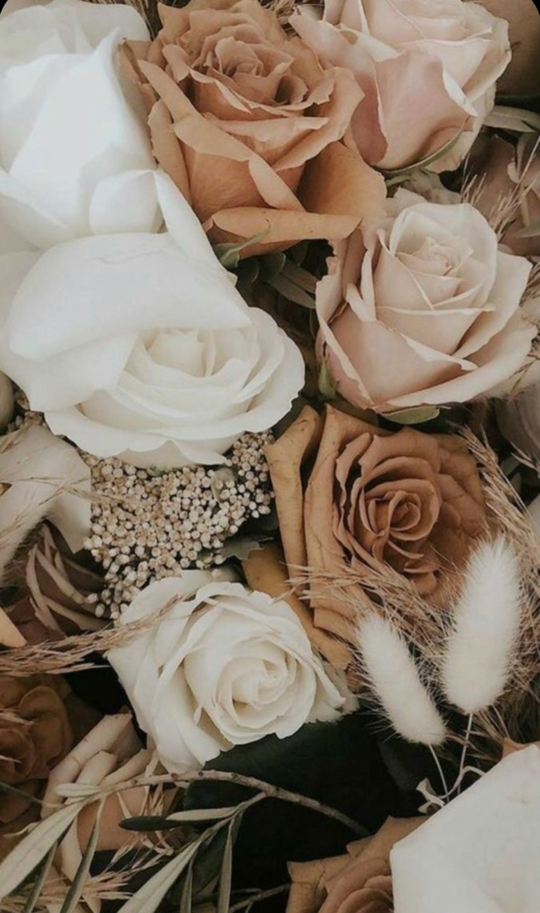 5-BERRY CHEMICAL PEEL at 23 Dreams Aesthetics in Minotola, NJ