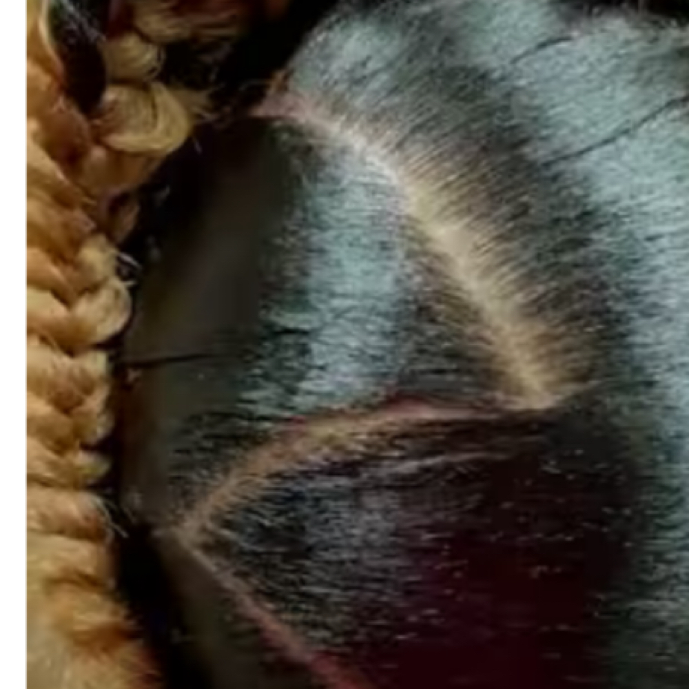 Braided Halo Crown at JD Braiding Embassy in Richmond, TX