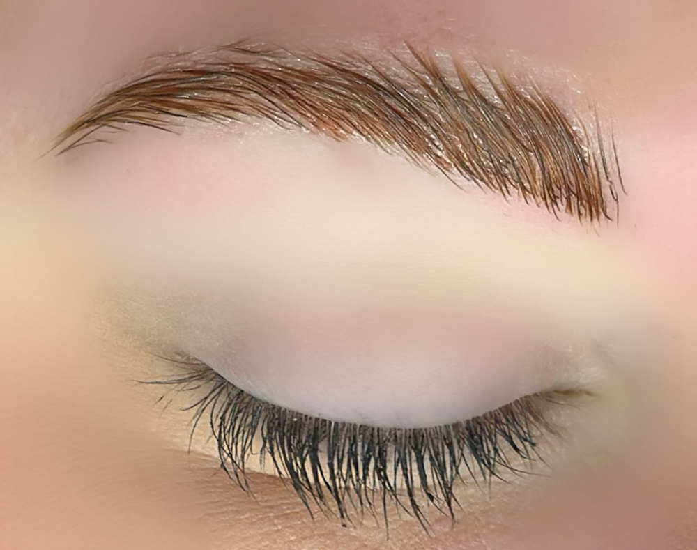 Brow Lamination W/ Brow Wax