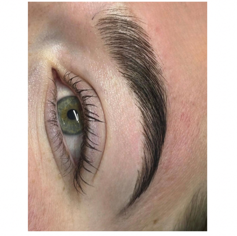 Brow Tinting at Wild and Rooted in Davenport, IA