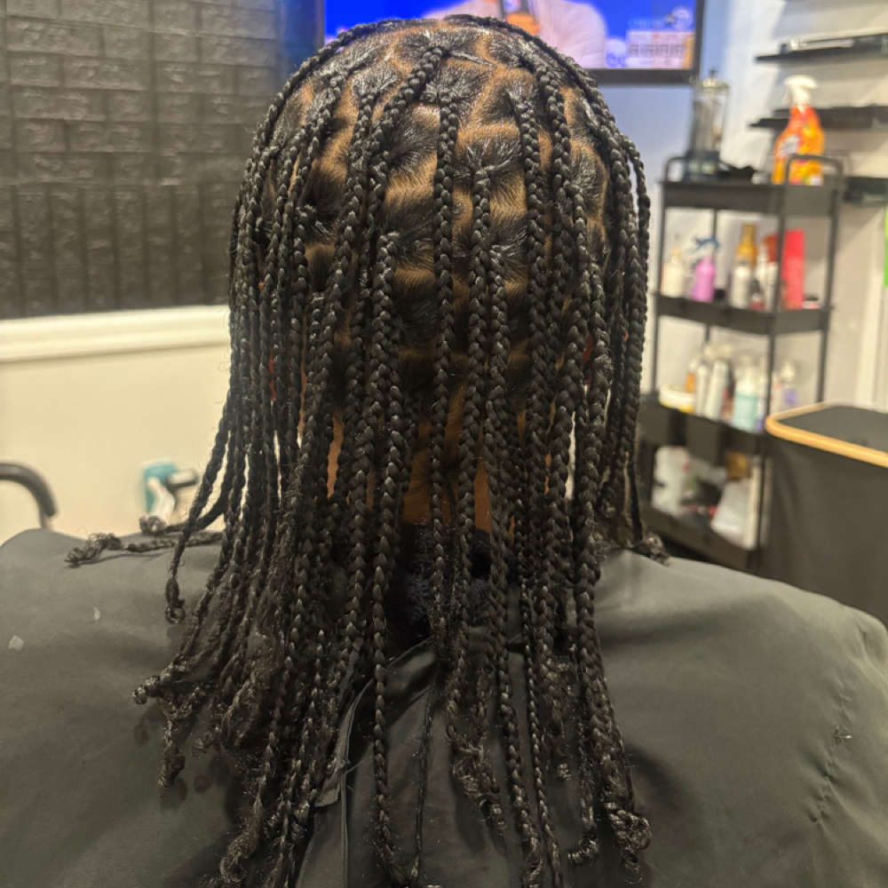 Individual Braids at The Curl Dealer in Southfield, MI