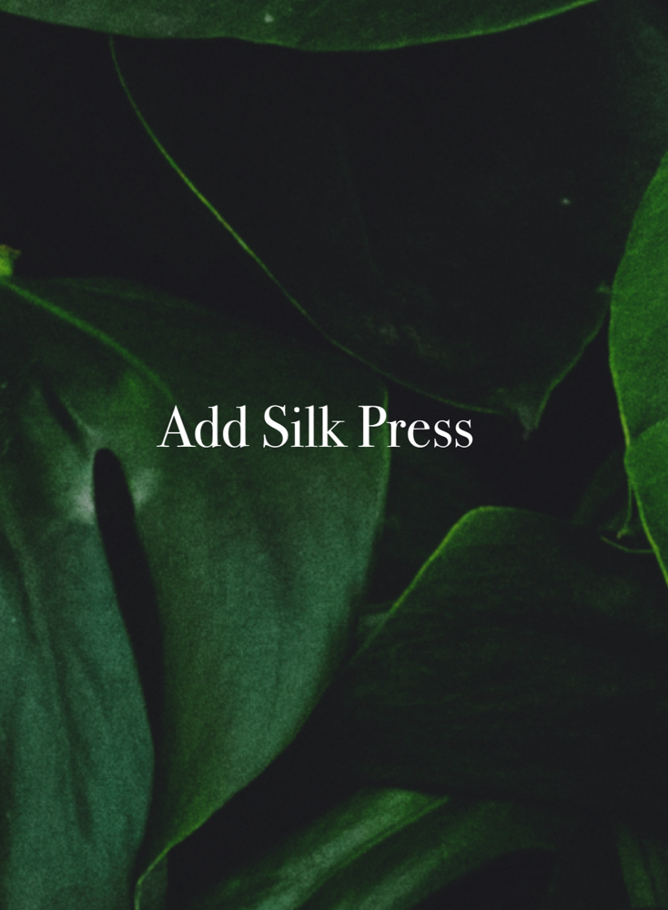 Add Silk Press at Anestie Beauty Lounge in Franklin Square, NY