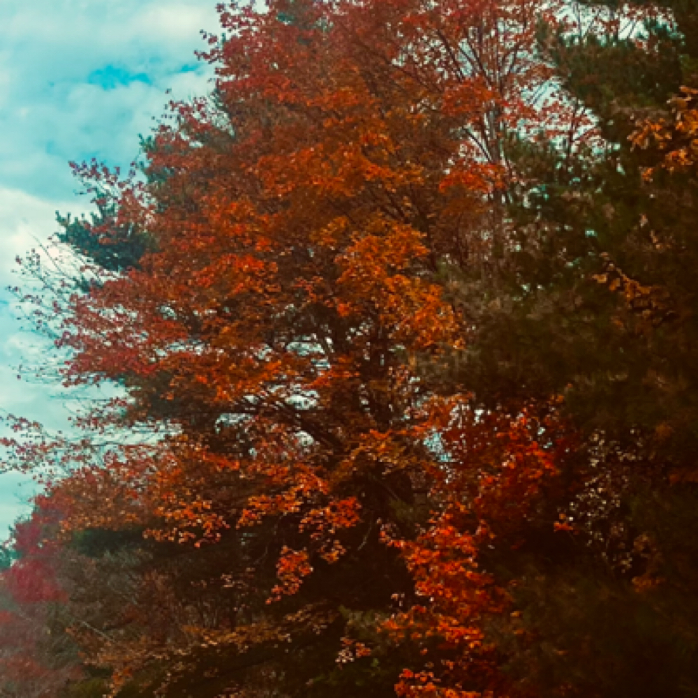 Autumn Package at Grace Aesthetics in Saco, ME