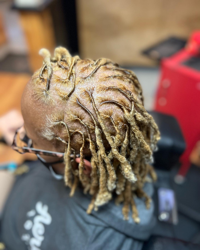 Loc Retwist No Style