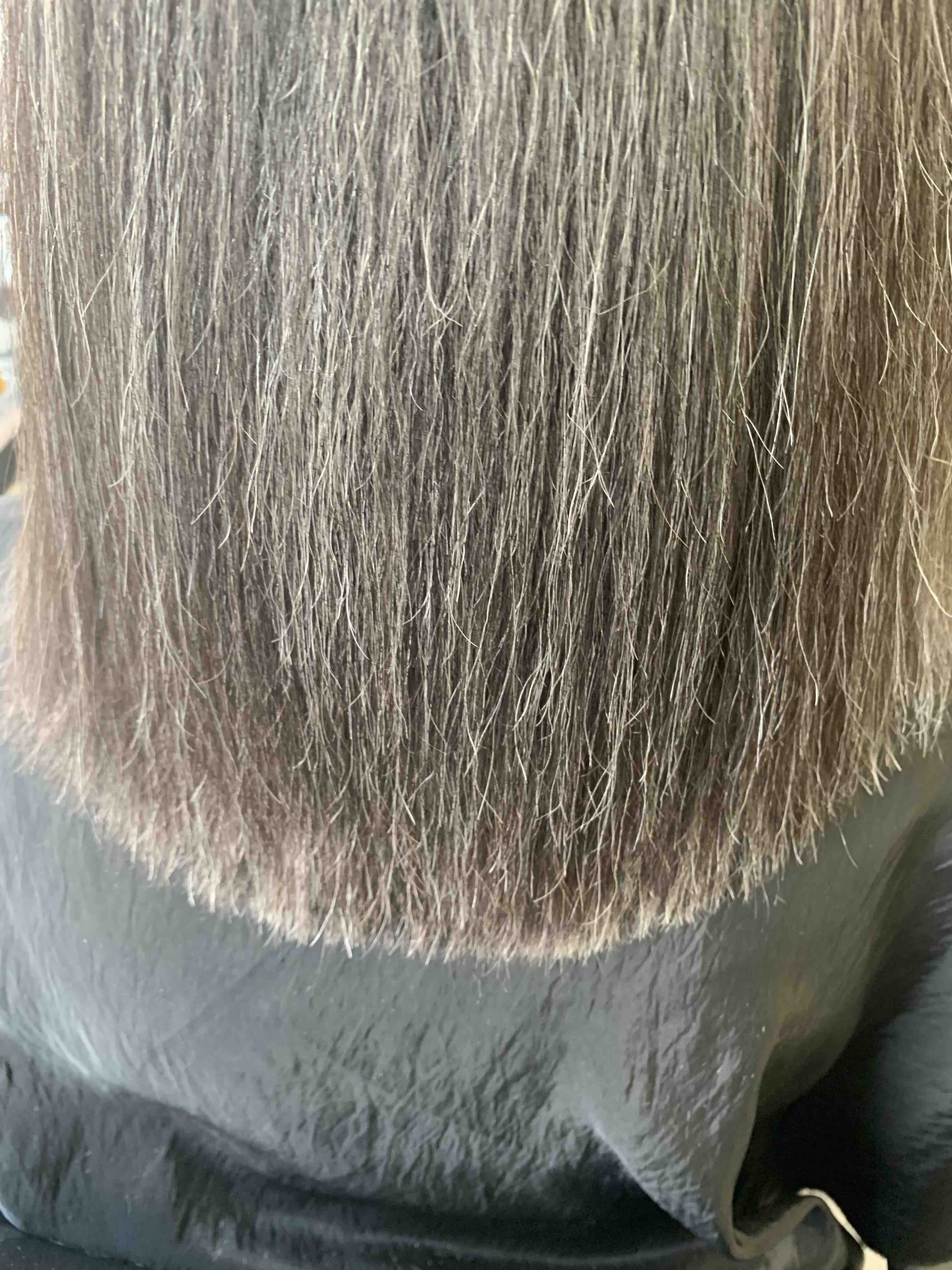 BLUNT CUT at BEAUTY SPECIALIST in Brooklyn, NY
