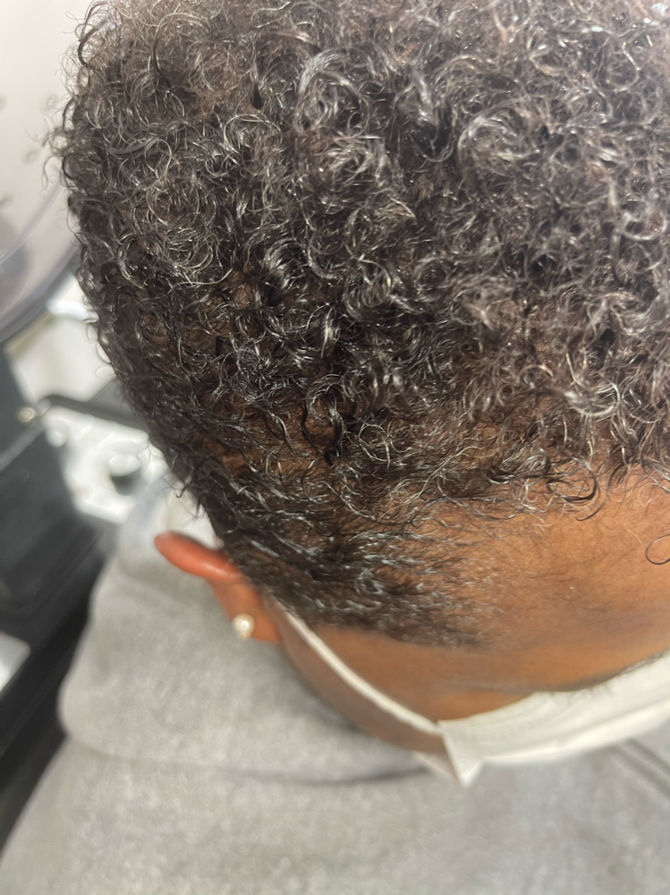 S CURL at BEAUTY SPECIALIST in Brooklyn, NY