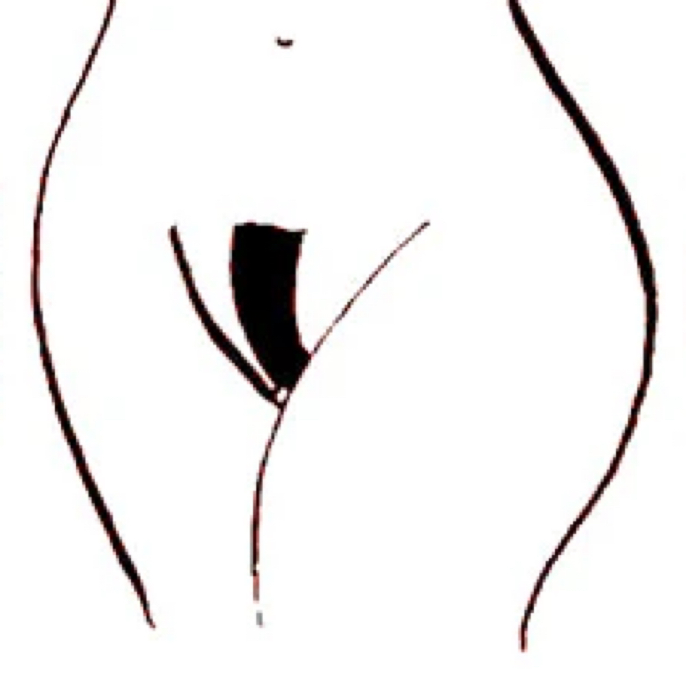 Modified Bikini Wax at Lexi Esthetics Studio in Prospect Park, NJ