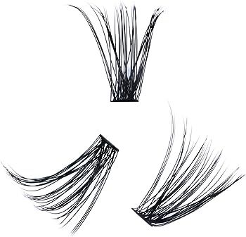 Limited Lashes