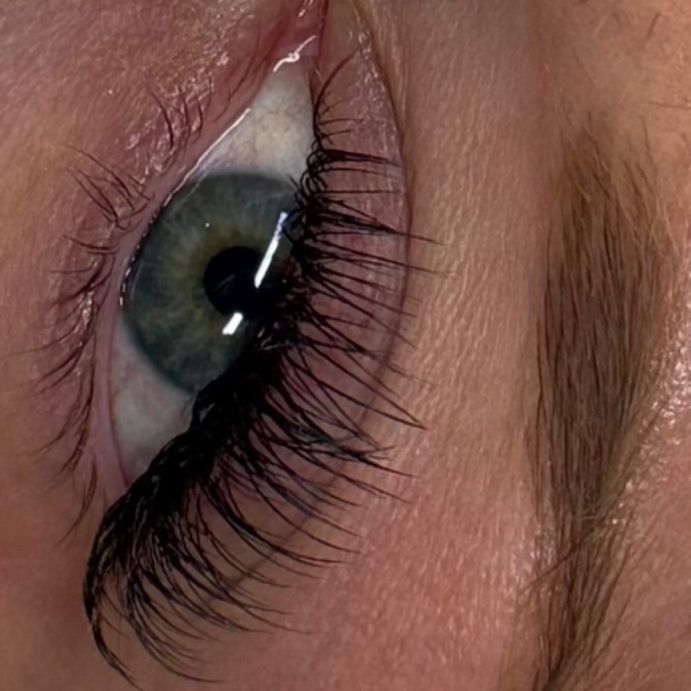 Extended Fill (3 Weeks) at Fuller Lash Studio in Clarksville, TN