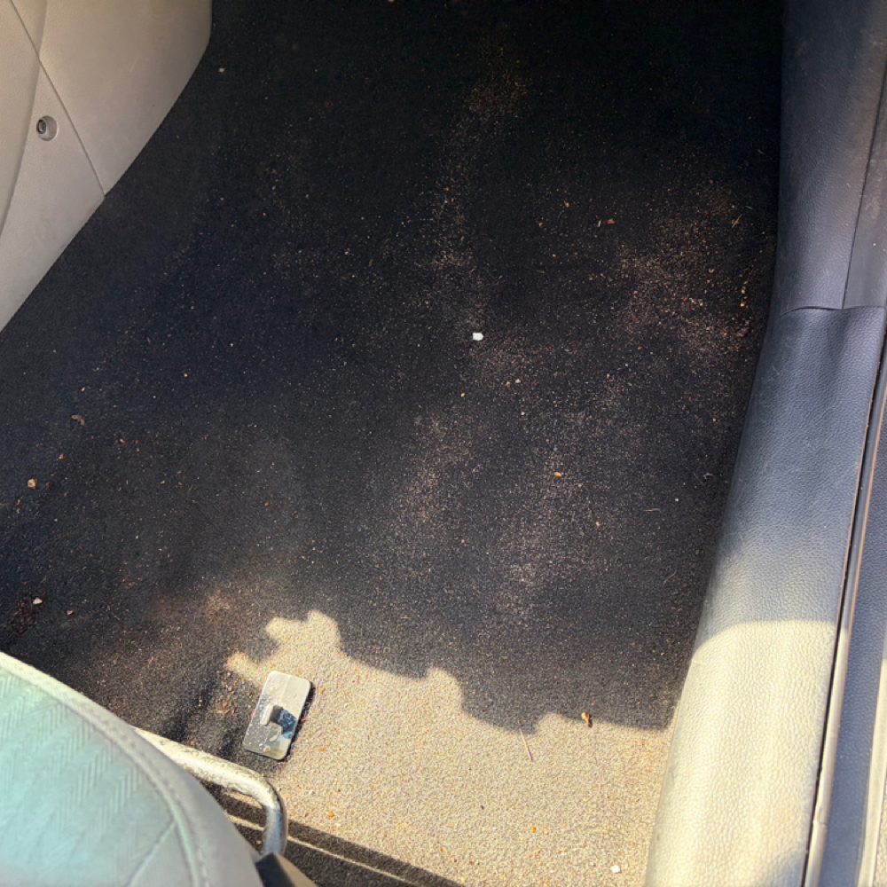 Carpet fluff.  Deep Vacuum at We Love Everybody Detailing in Memphis, TN