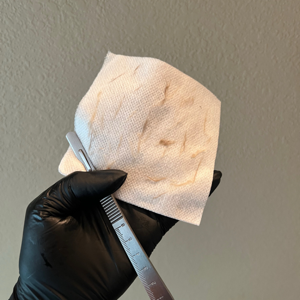 Express Facial & Dermaplane Promo at JustglowbyJo in Temperance, MI