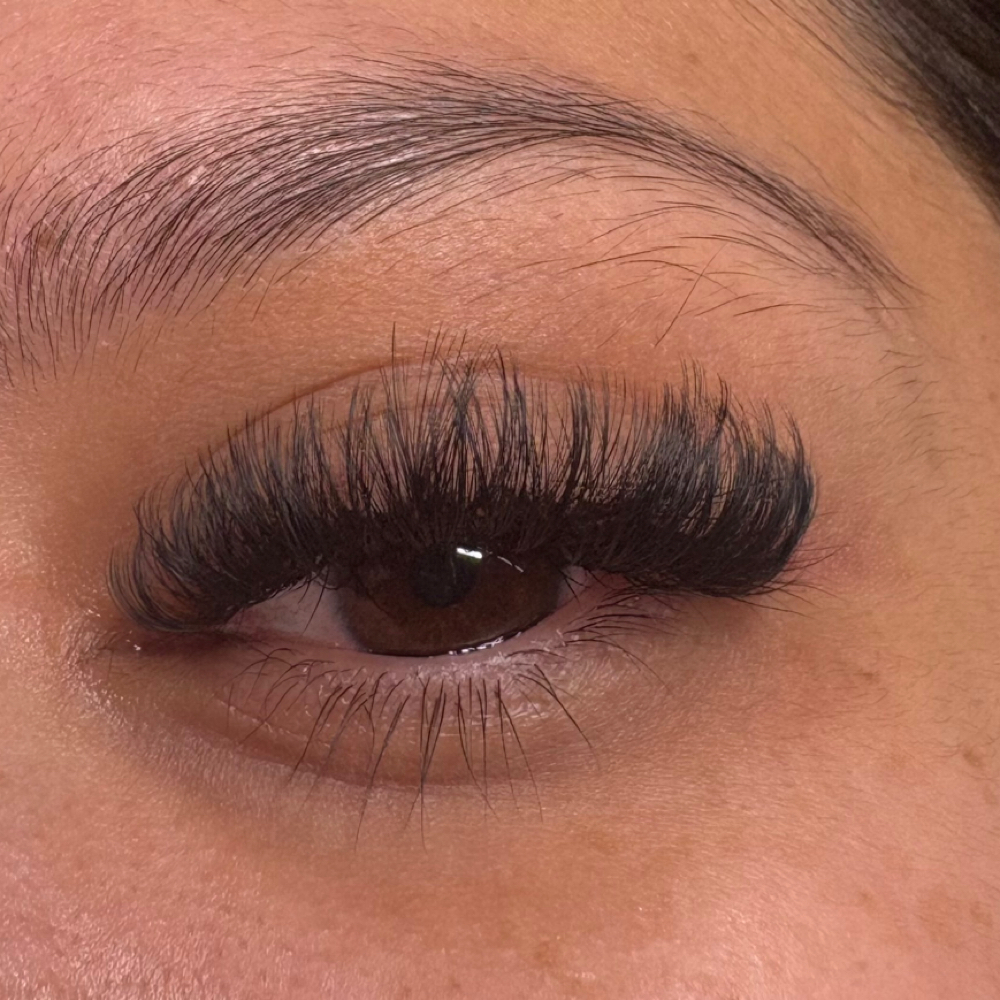 Any Set Of Lashes By Perla