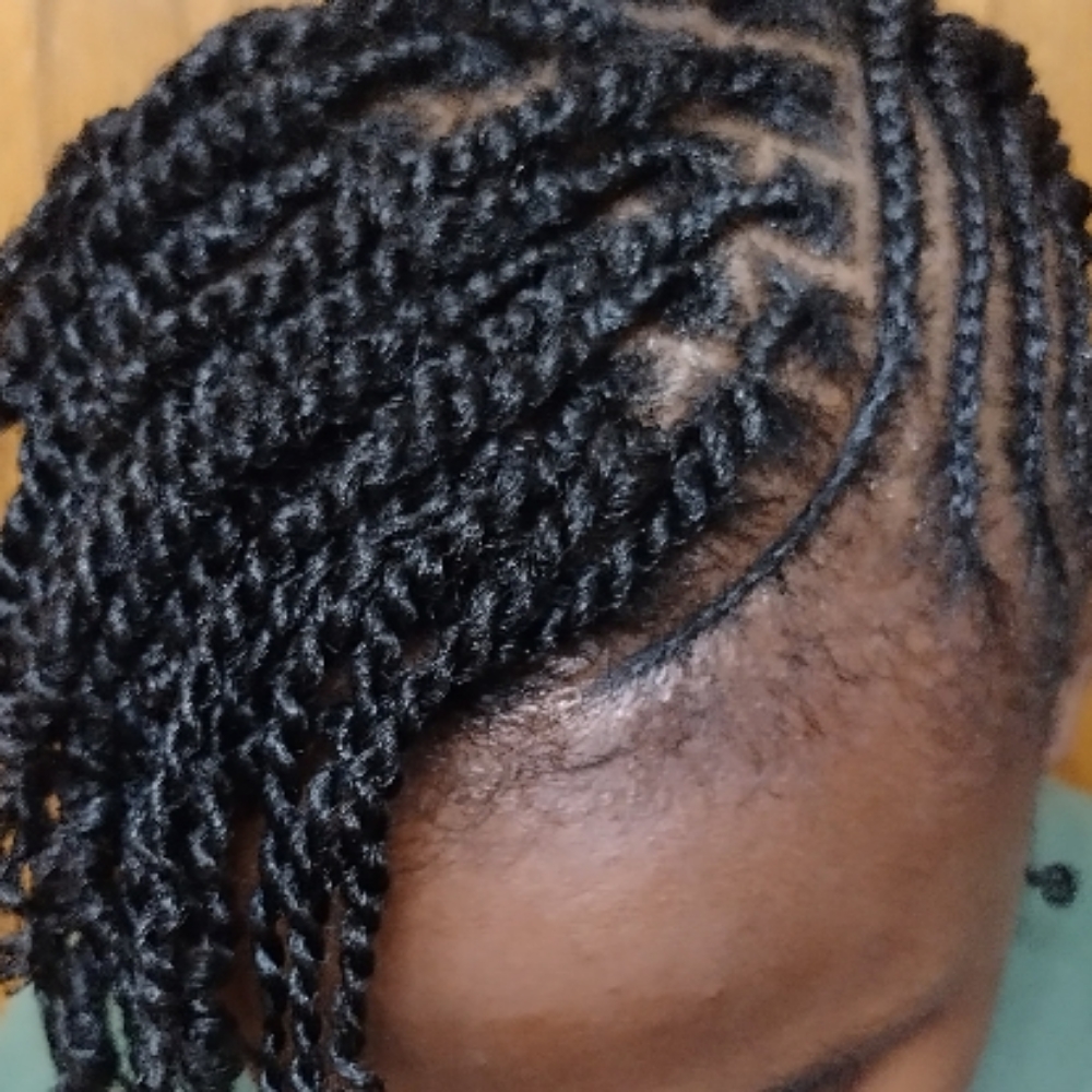 Twist and Braids (no added hair) at Elegant Disclosure Hair Studio in Blaine, MN