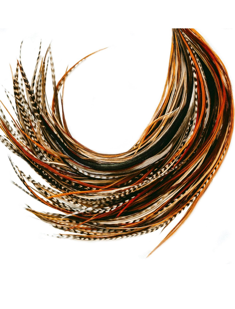 Feather Extention