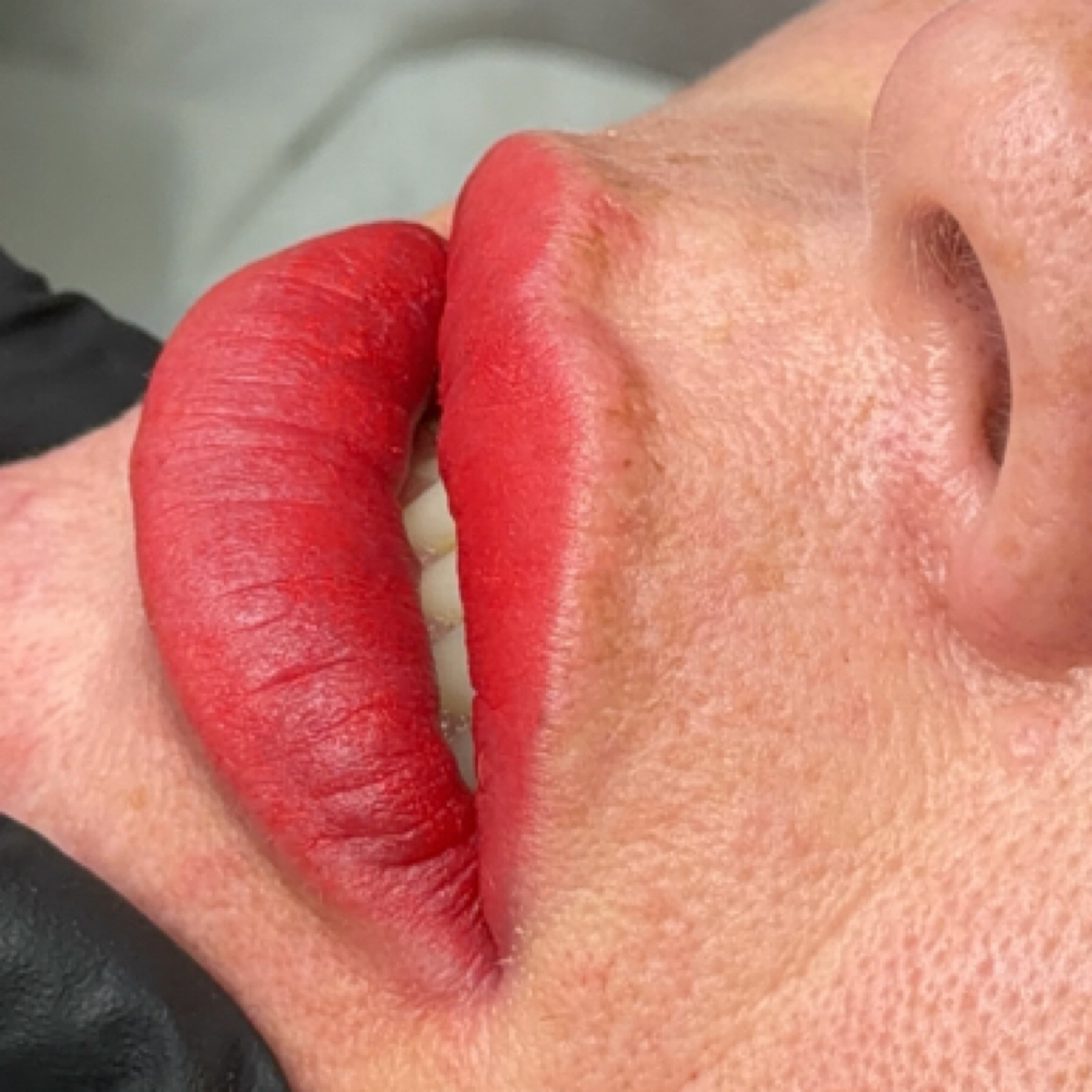Blush Lip at Stevencaobrows in Fremont, CA
