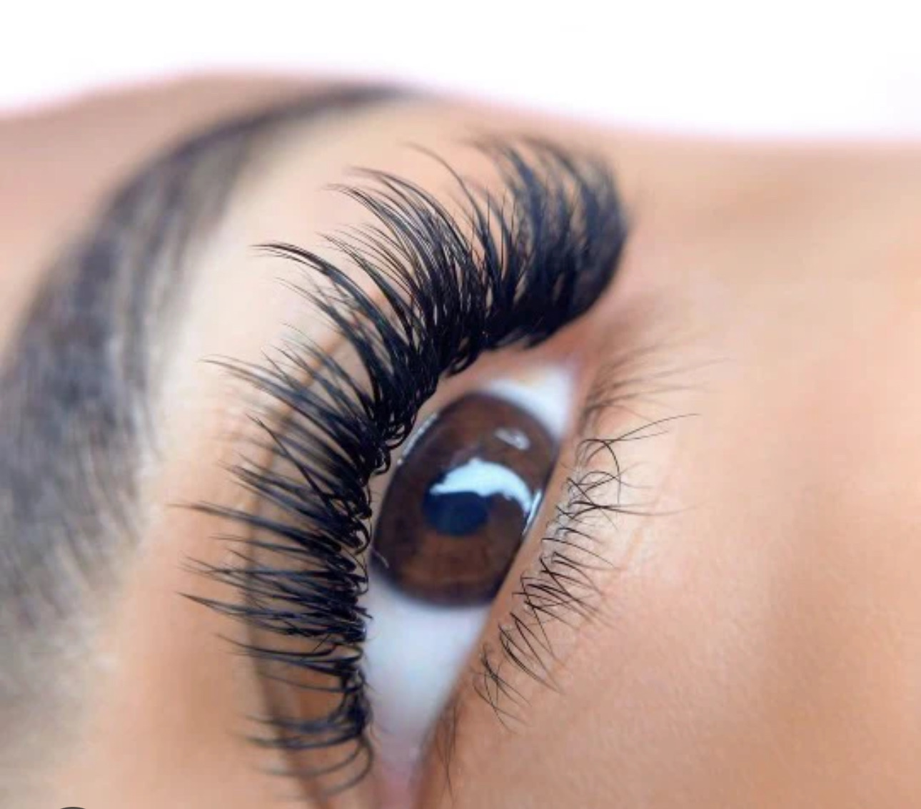 Lash Services