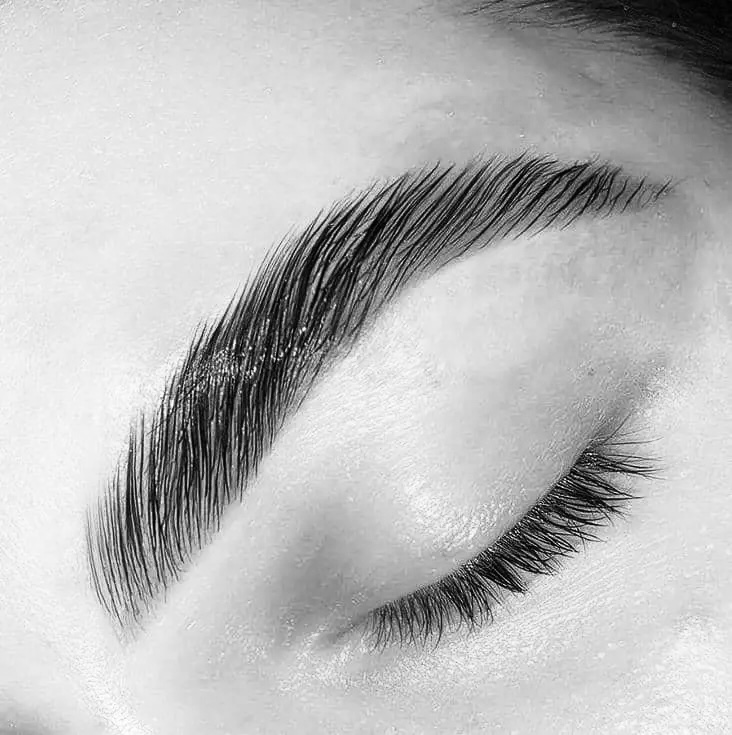 Brow Lamination + Tint + Shape