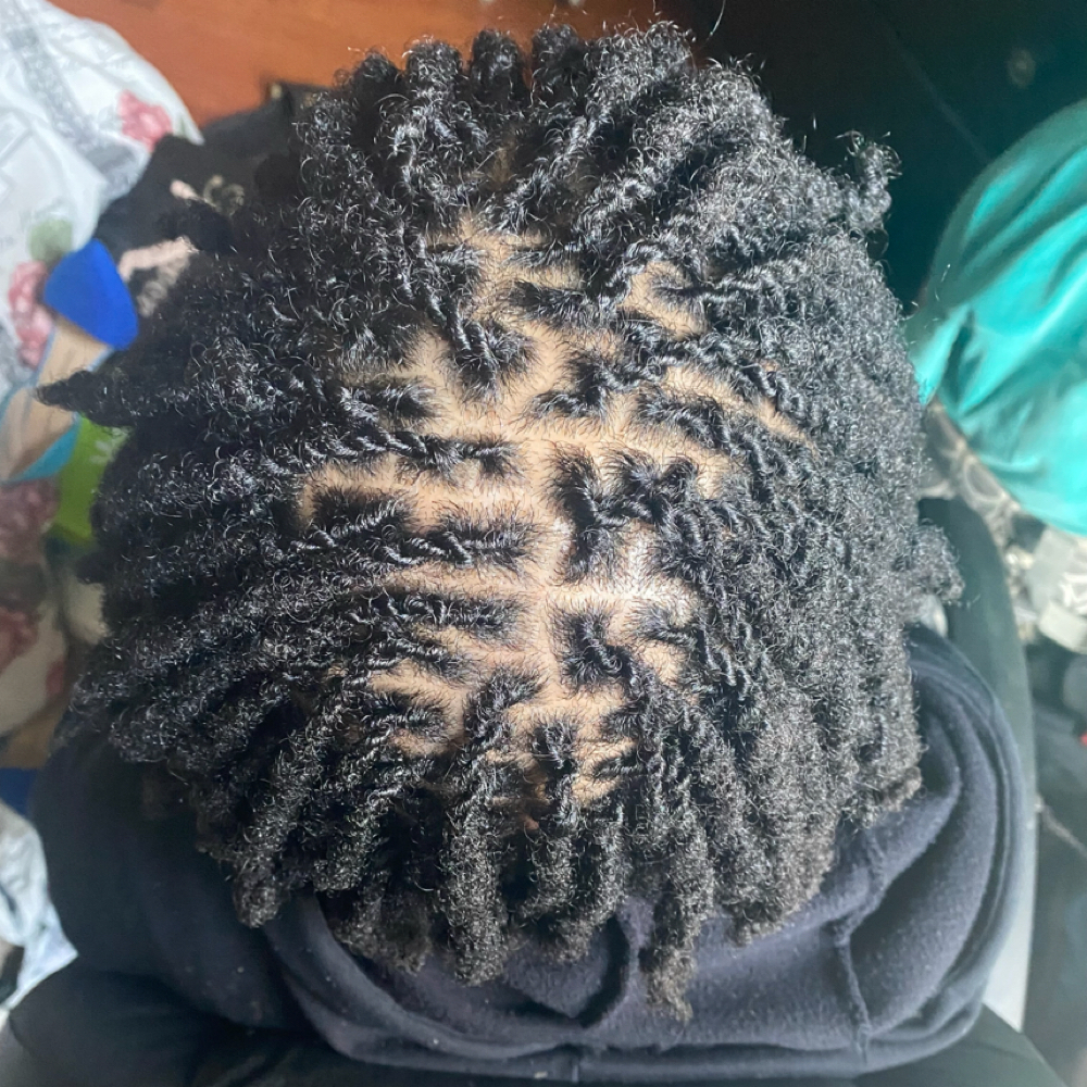 Micro Locs Basic Style at The Braid Society in Olive Branch, MS
