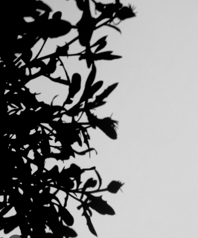 Hand-tied/Genius Weft Package