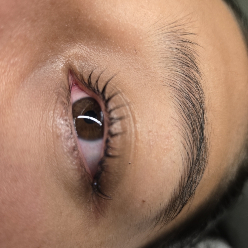 Lash Lift + Tint at Midtown Esthetics in Raleigh, NC