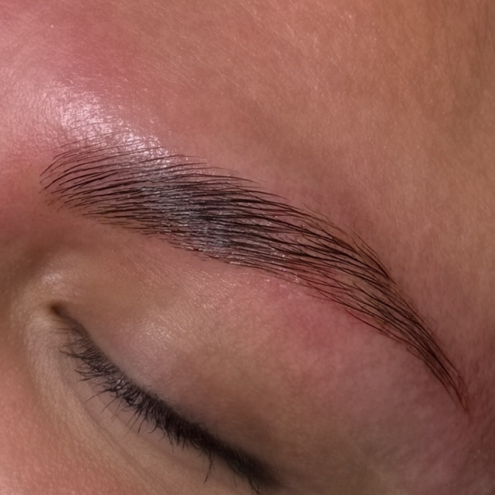 Brow Lamination at Beauty By Anissa LLC in Parker, AZ