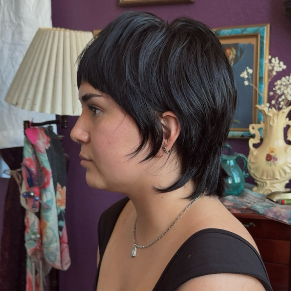 Returning Client Haircut & Style at Crybaby Coiffeur in Fresno, CA