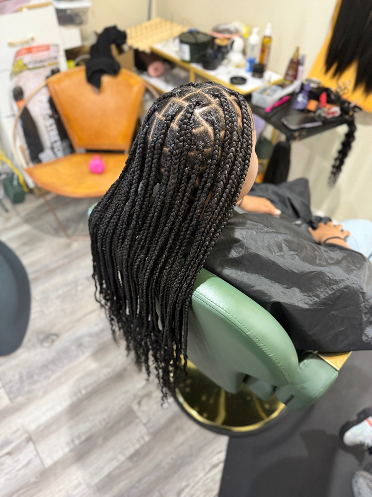 Braids By Lavii (Flash Sale)
