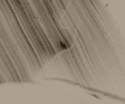 A LÁ CARTE MENU - Select to Add On at Sy The Loc Don in Delray Beach, FL