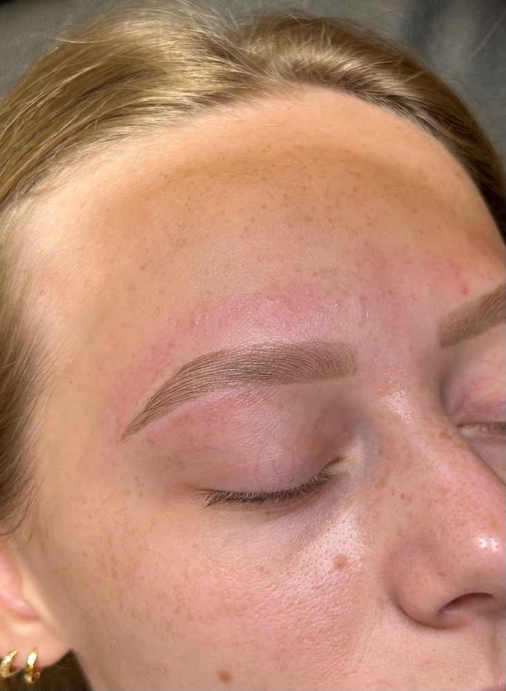 Brow Wax and Tint