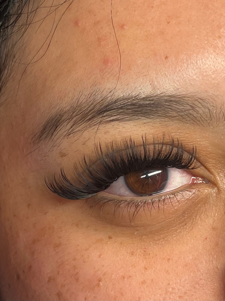 Wispy Lash Set