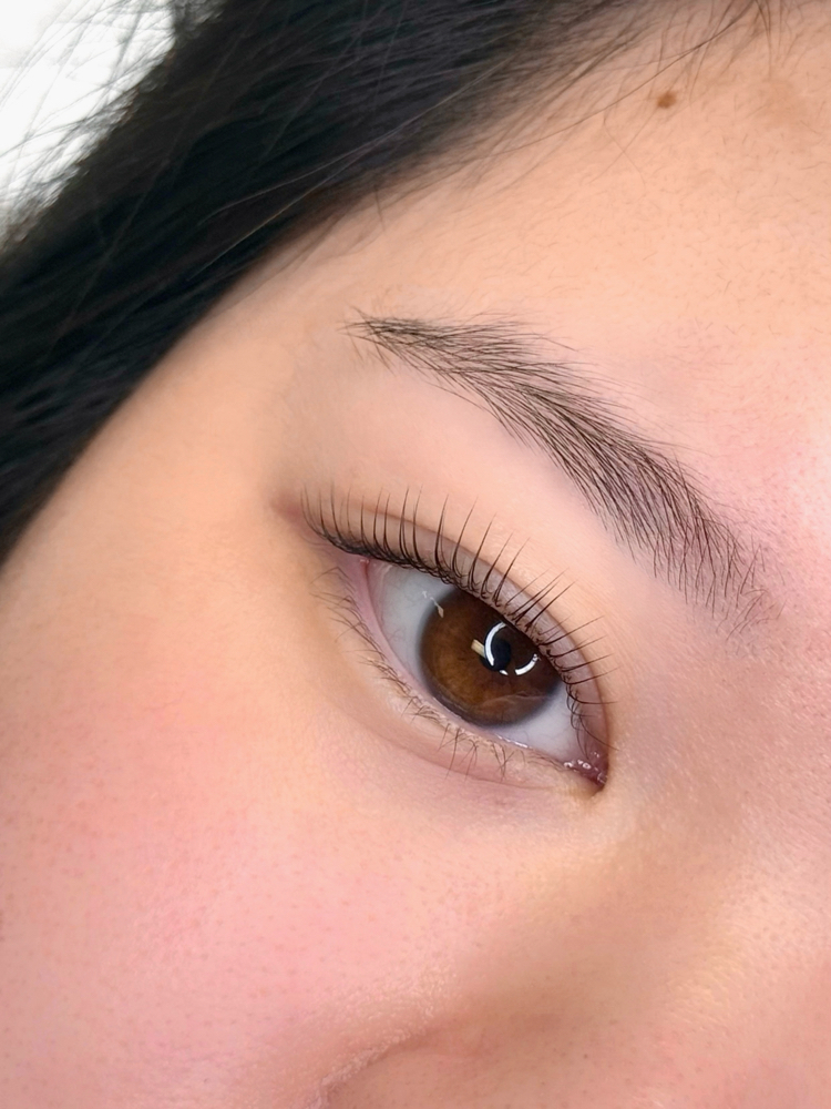 Korean Lash Lift