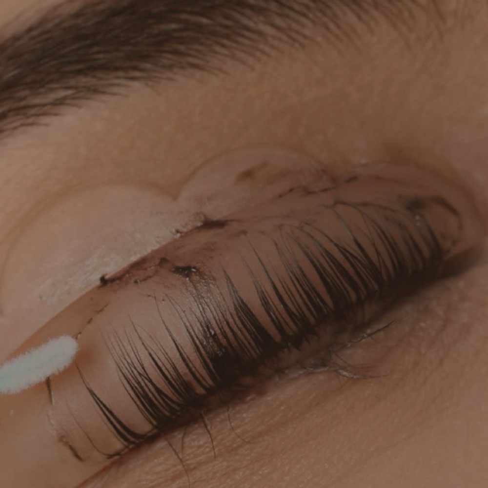 Lash Tint Only at Graceful Effects Day Spa in Brandon, MS