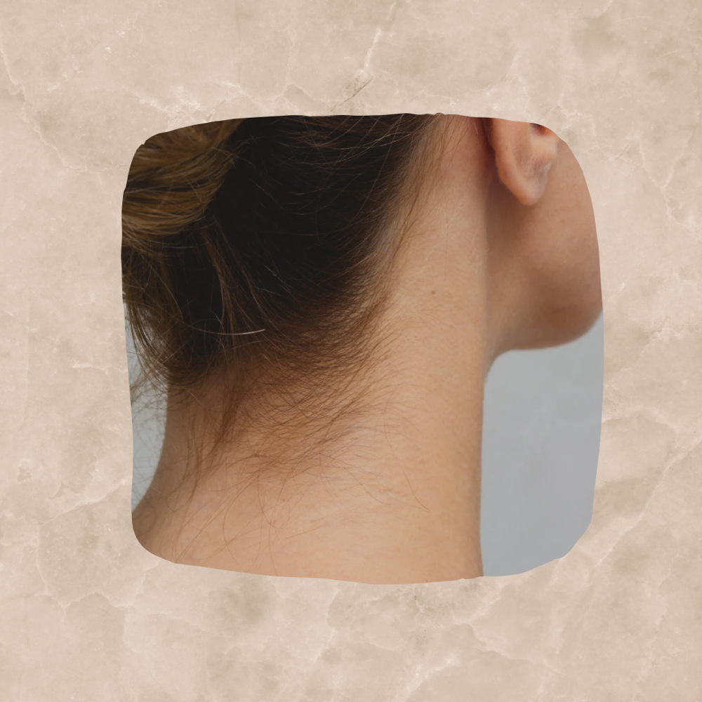 Neck