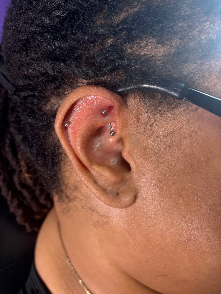 Rook