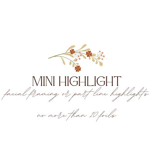Mini Highlight