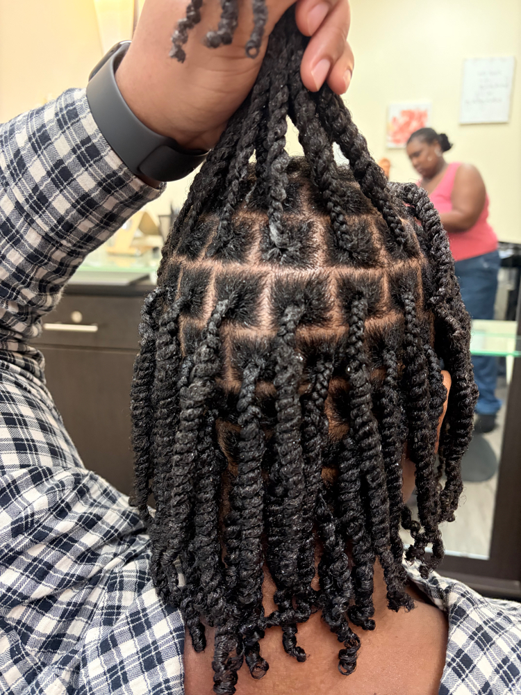 Two Strand Twist
