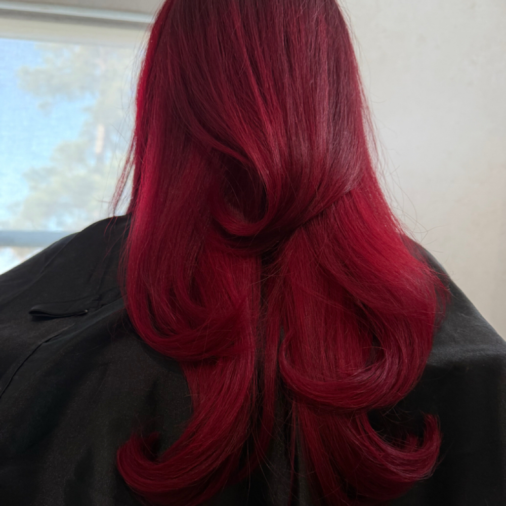 Toner With Blow Dry at HTXhairbyjo in Houston, TX