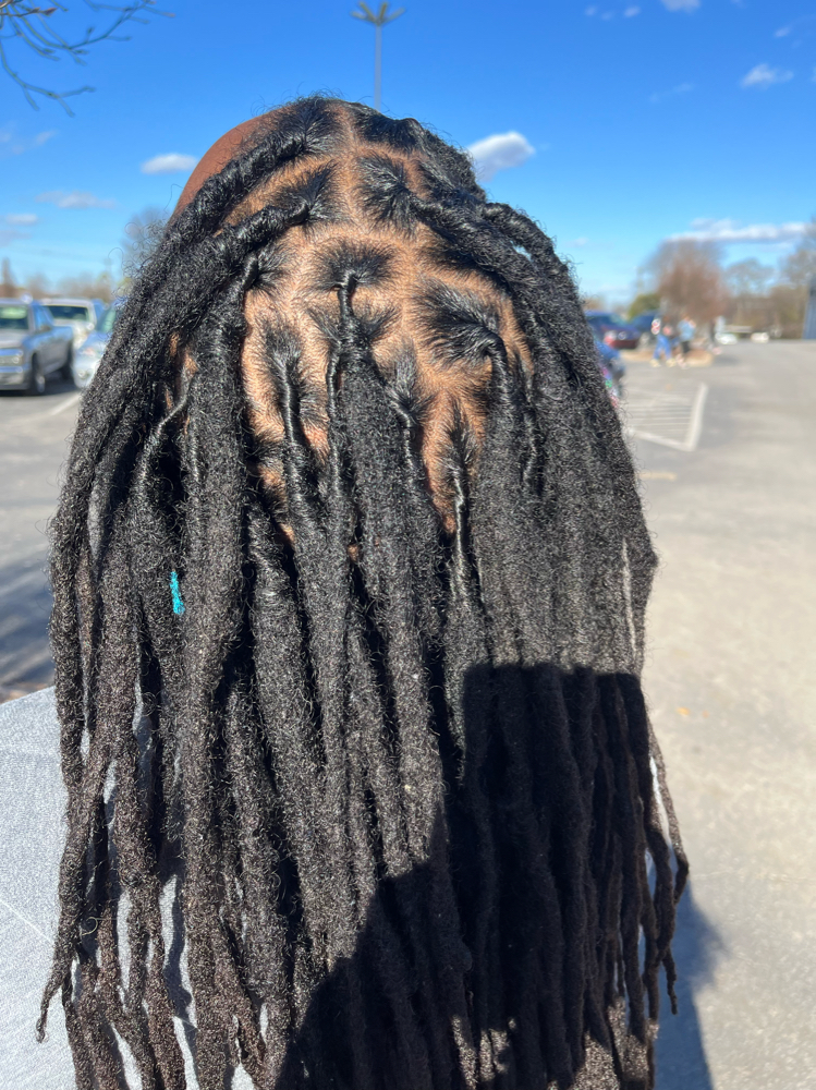 Tier 1 Loc Retwist at HAUS OF JAYLA in Murfreesboro, TN