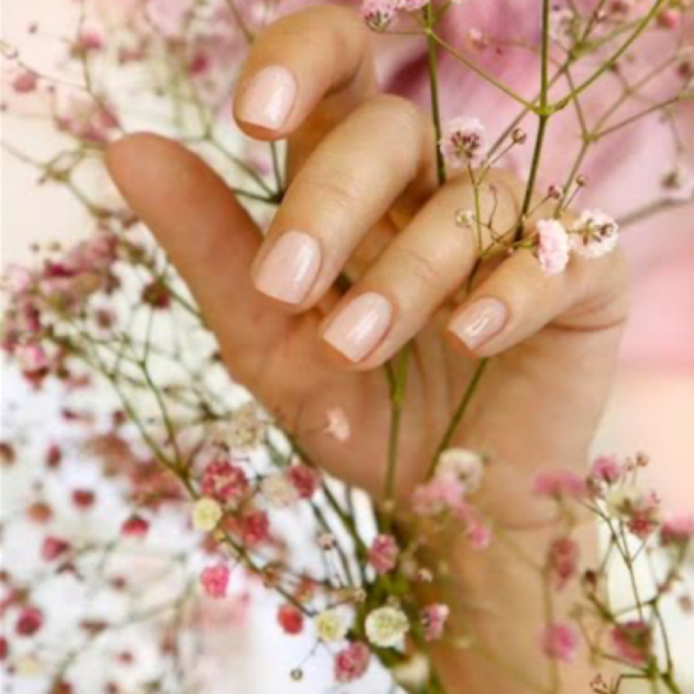 Gel/Shellac Nails W/o Removal at NW Nails & Spa in Portland, OR