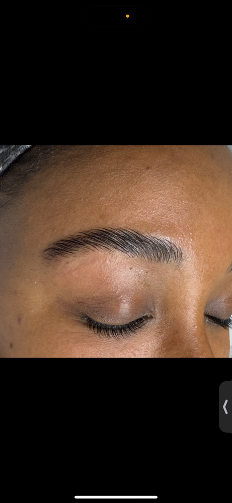 Brow Lamination + Wax