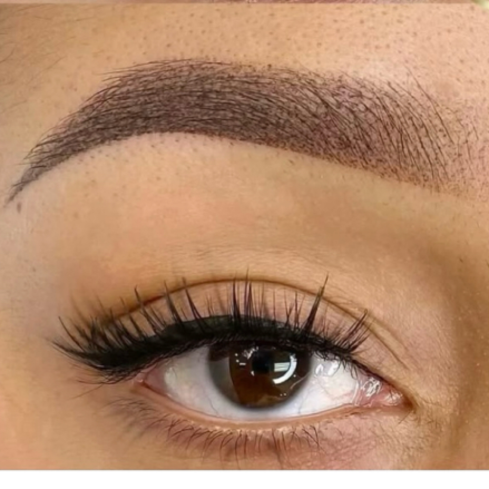 Touch-up 4-6 Weeks Promotion at Microstroke Brows by Alice in Rowlett, TX